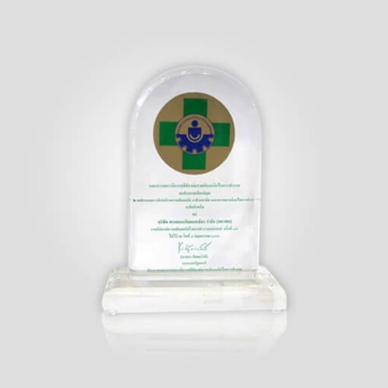 Outstanding Award for Safety, Occupational Health and Environment 2006 (Provincial Level) No. 17